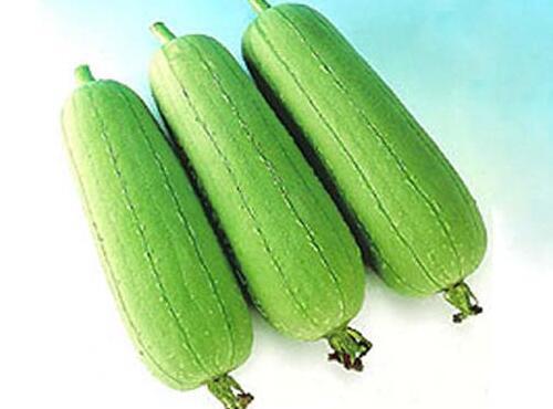 果蔬配送：絲瓜