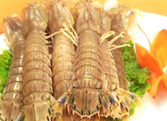 鮮活水產類：瀨尿蝦/皮皮蝦