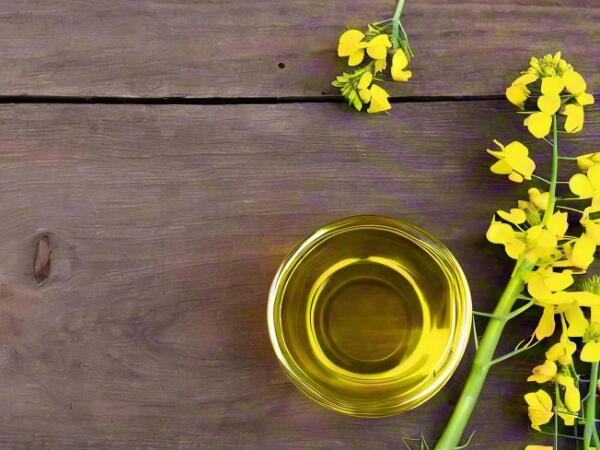 菜籽油凝結(jié)成塊了還能吃嗎