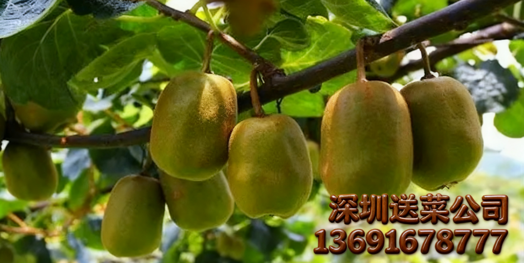 1763222080639684.png 944760BF57281773FC65B720C146BE86.png